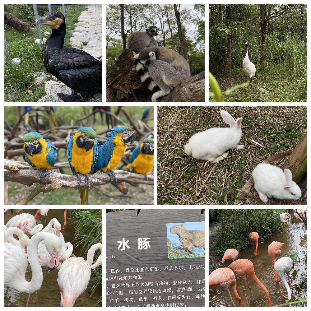 厚積薄發(fā)，蓄力前行：大手牽小手，共圓實佳夢